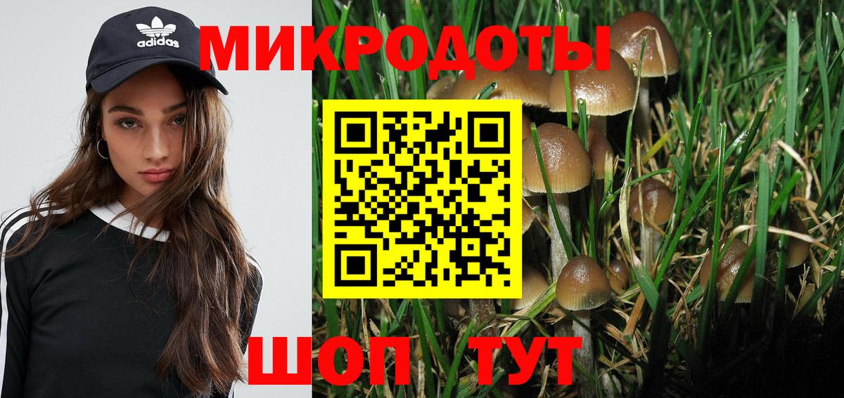 Новый Уренгой  Псилоцибиновые грибы Psilocybine cubensis  Вход с VPN 