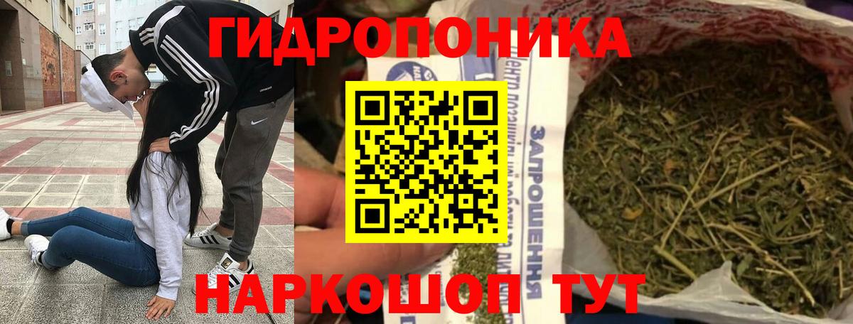 Конопля тримм  Бошки Шишки ГИДРОПОН  Новый Уренгой  Вход с VPN  Бошки марихуана план 